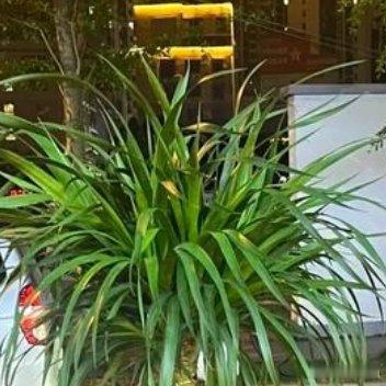 . ☪︎* ☁︎. . * ✰ .· ʚ🧸ɞ . ☽ . ɢᵒᵒᵈ ✨ɴⁱᵍʰ