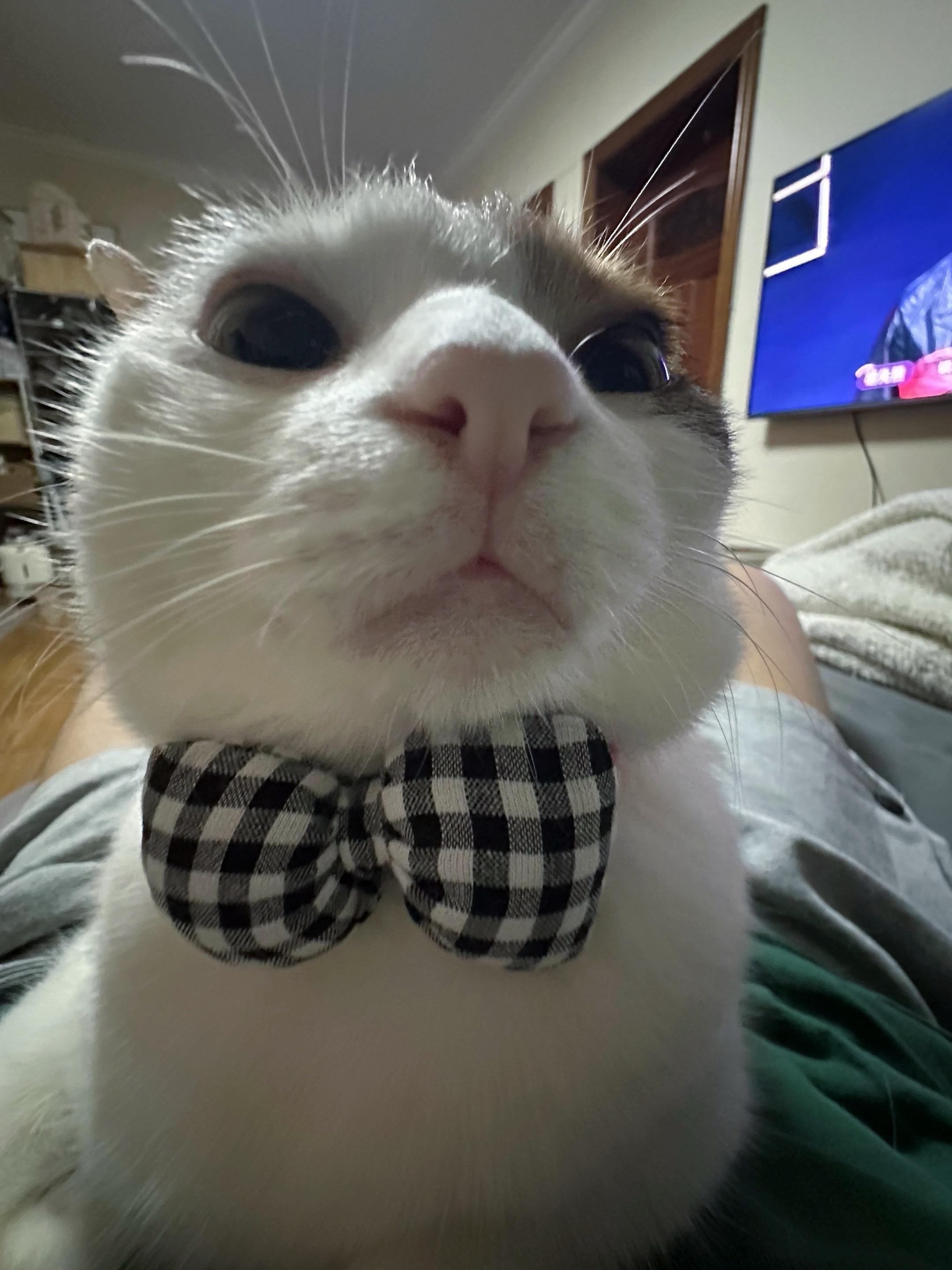 只这样的，我的房间有块白板……