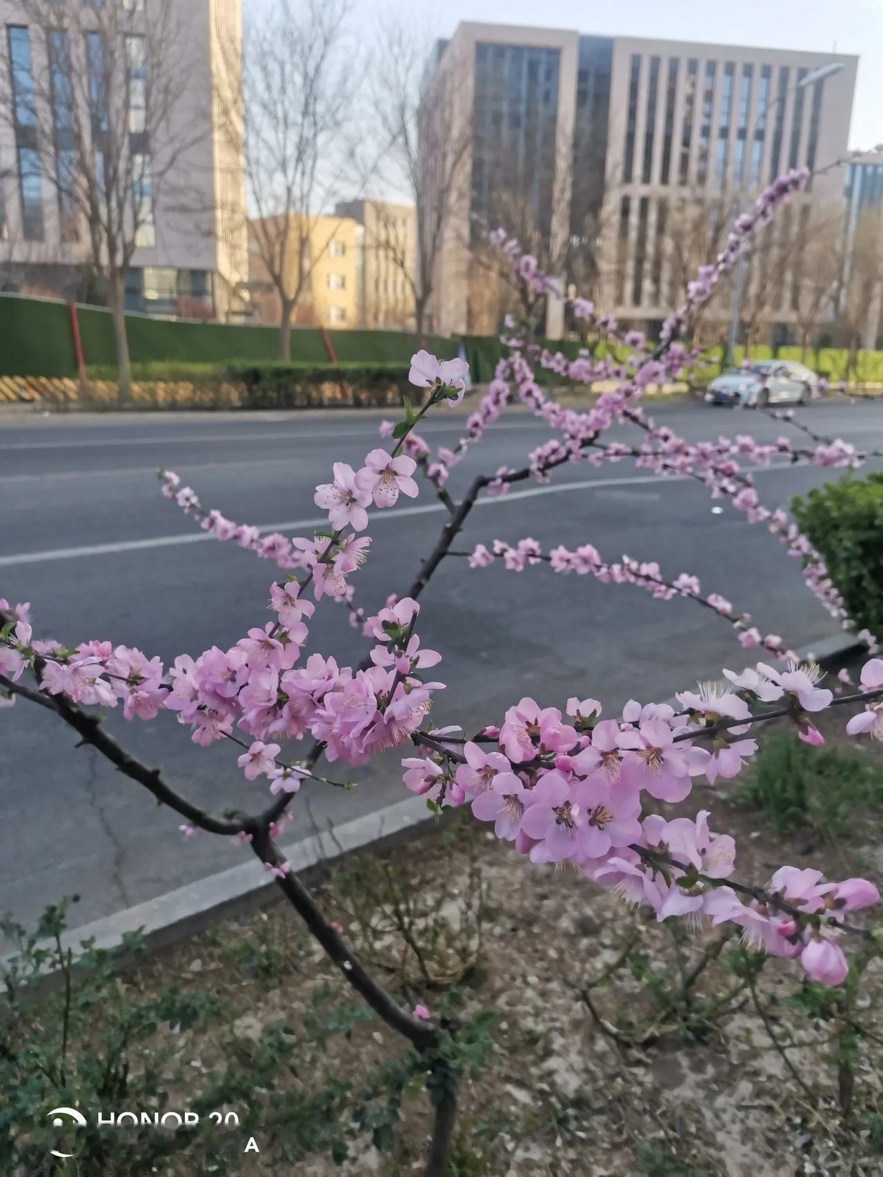 君在外，有家不能归，
命无常，山下土一堆，
天有云，无风不能行，
家有妻，无米不