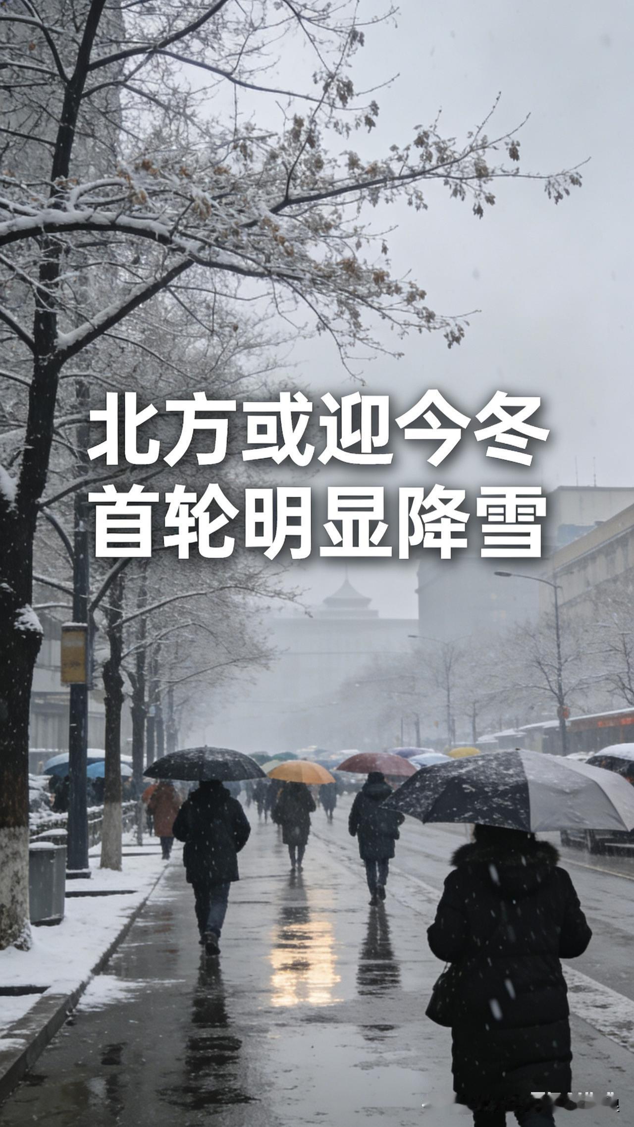 北方今冬第一场大雪要来了！降温14℃赶紧囤厚衣服（据中央气象台预报）
 
北方的