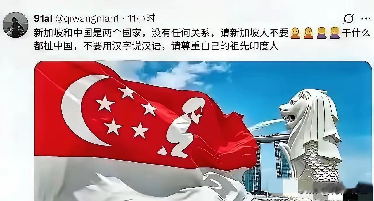 说真的，新加坡这回急眼，我一点不意外。谁家国旗被P成那样，都得炸。他们连夜删帖抓