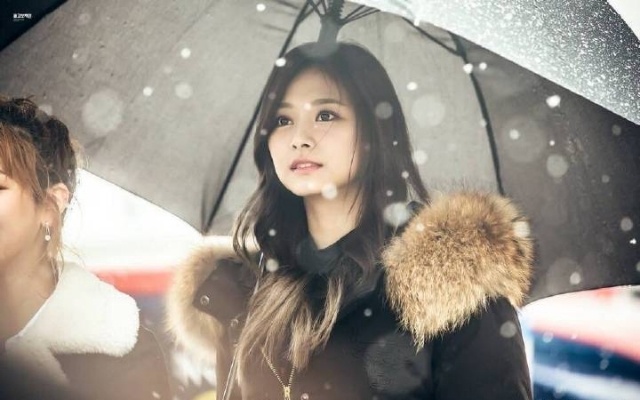 【884号来信】雪中精灵 ​​​