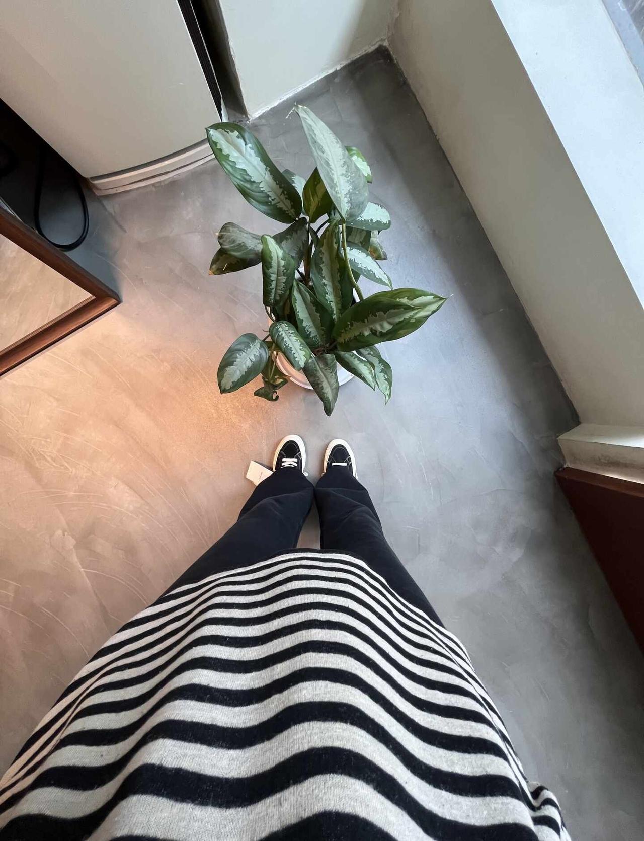 超绝视角欣赏我的宋威龙同款
爱了爱了😻