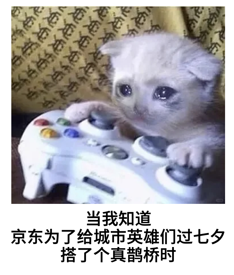 京东这脑洞我服了！！京东这次在龙湖天街搭了座“鹊桥”，但桥上没有牛郎织女，而是为