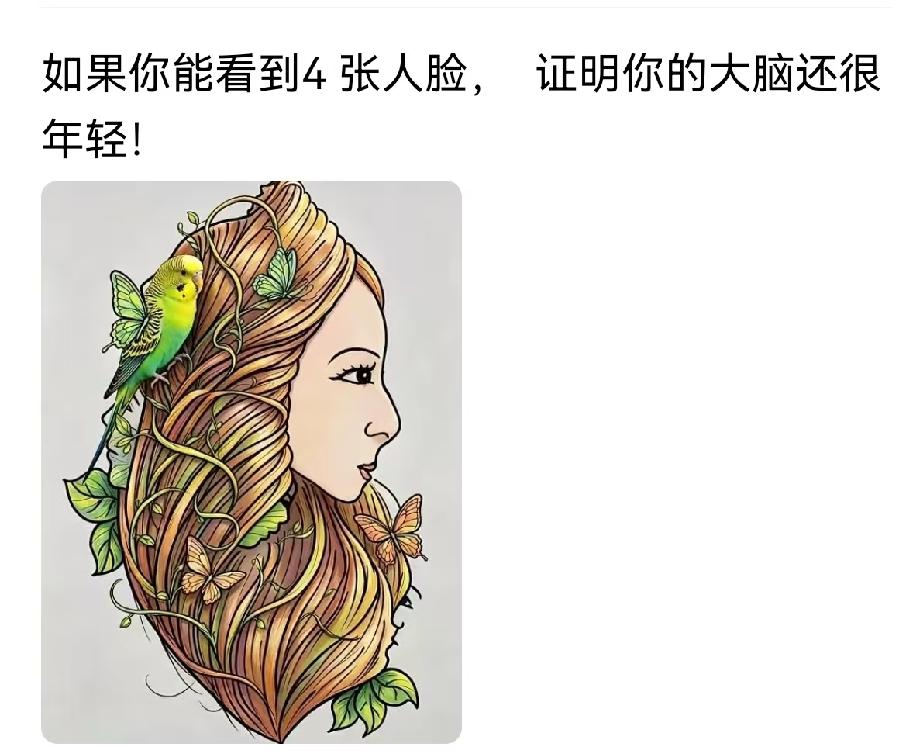 你们能看到几张脸，使出浑生解数我找到了三张。