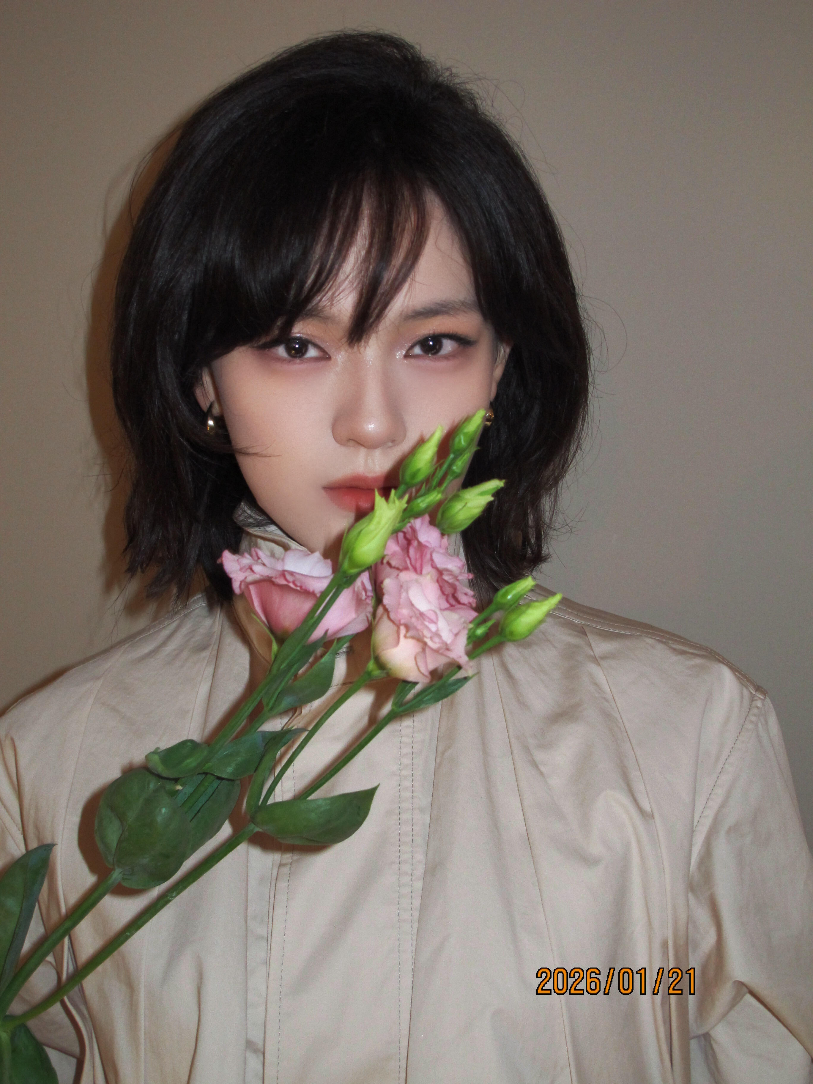 文淇和CCD好适配