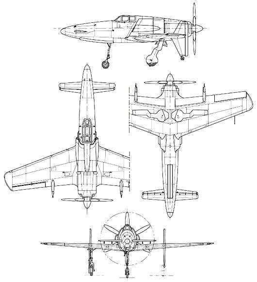 震电 vs XP-55 ​​​