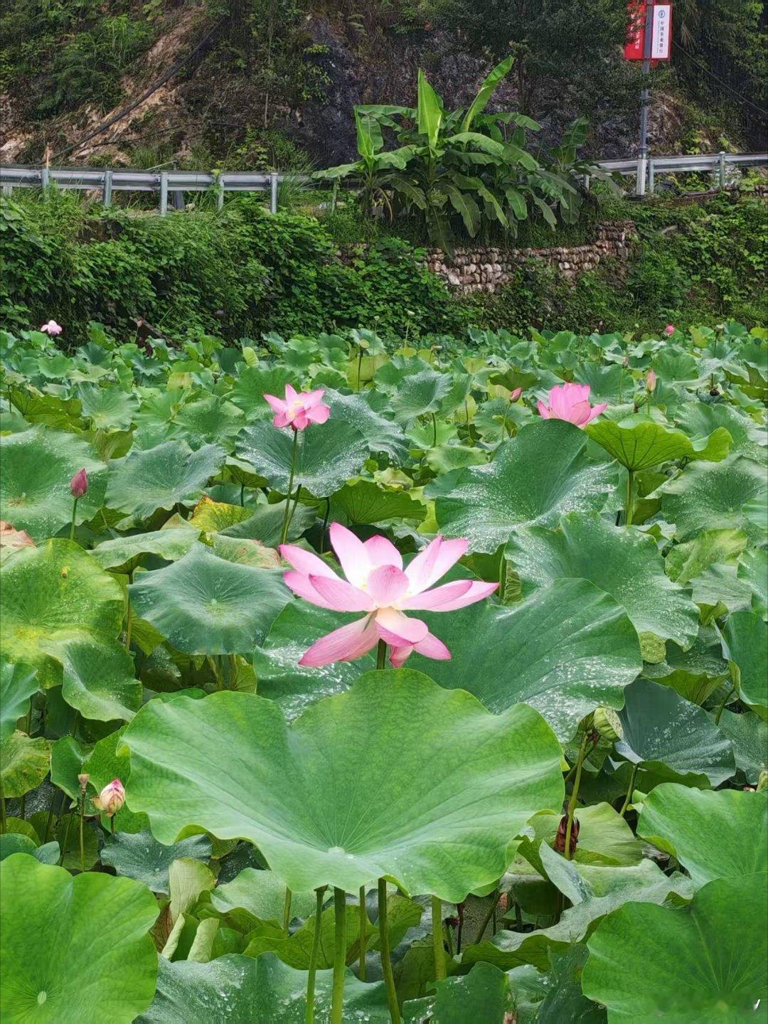 感谢老师提供机会，来到美丽的油溪桥村学习，也特别开心和老友相聚，看着亲爱的姣发展