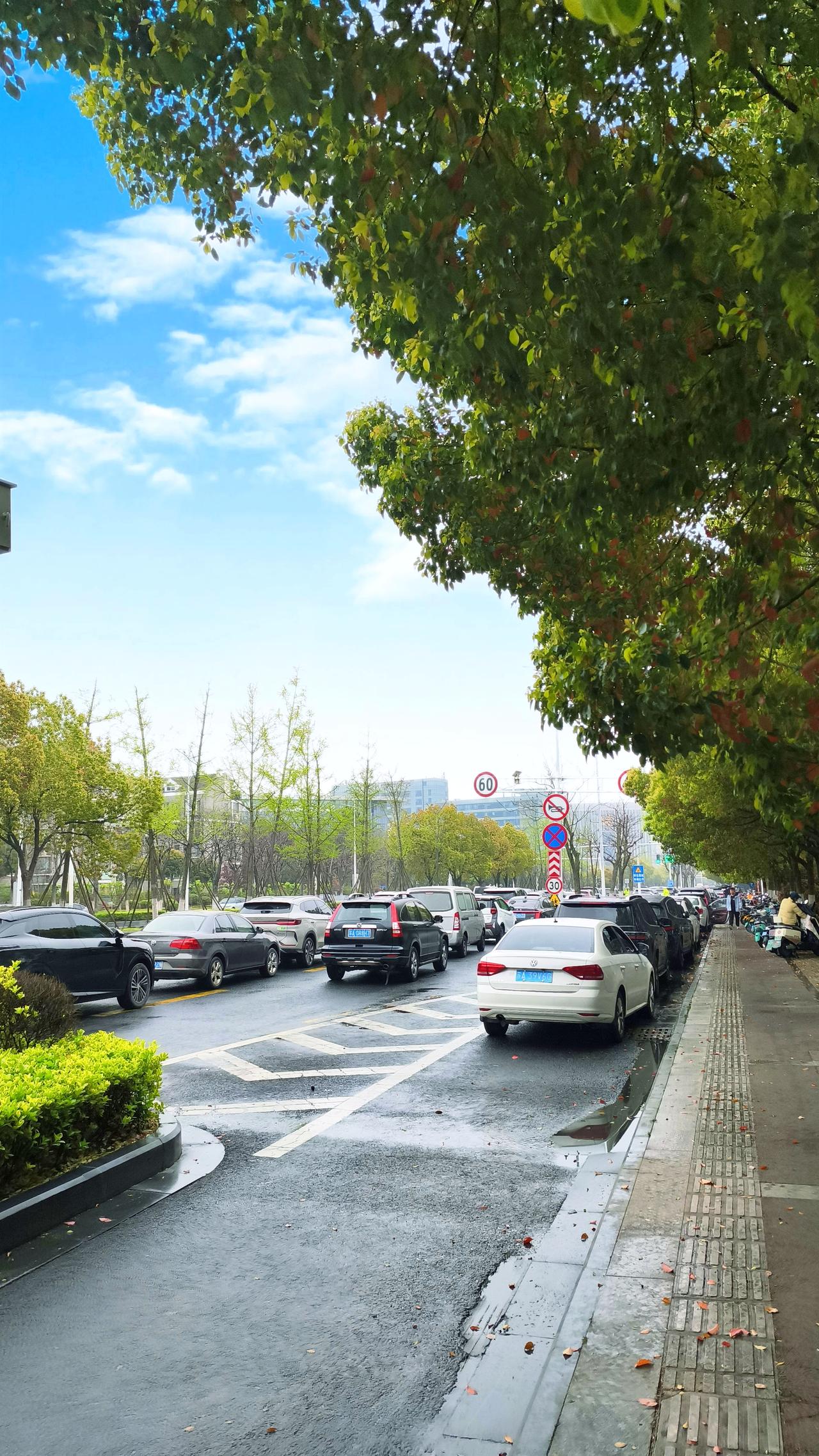 想舒服又出片，10月底—11月初的秋天是首选。这时温度适宜，人相对少，满城梧桐金