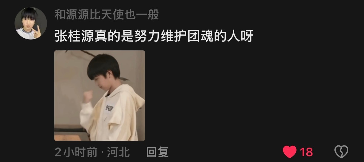 其实一直有孩子在努力维护团魂的，荣耀之战的时候带领着大家说我们四代也想赢，第一天