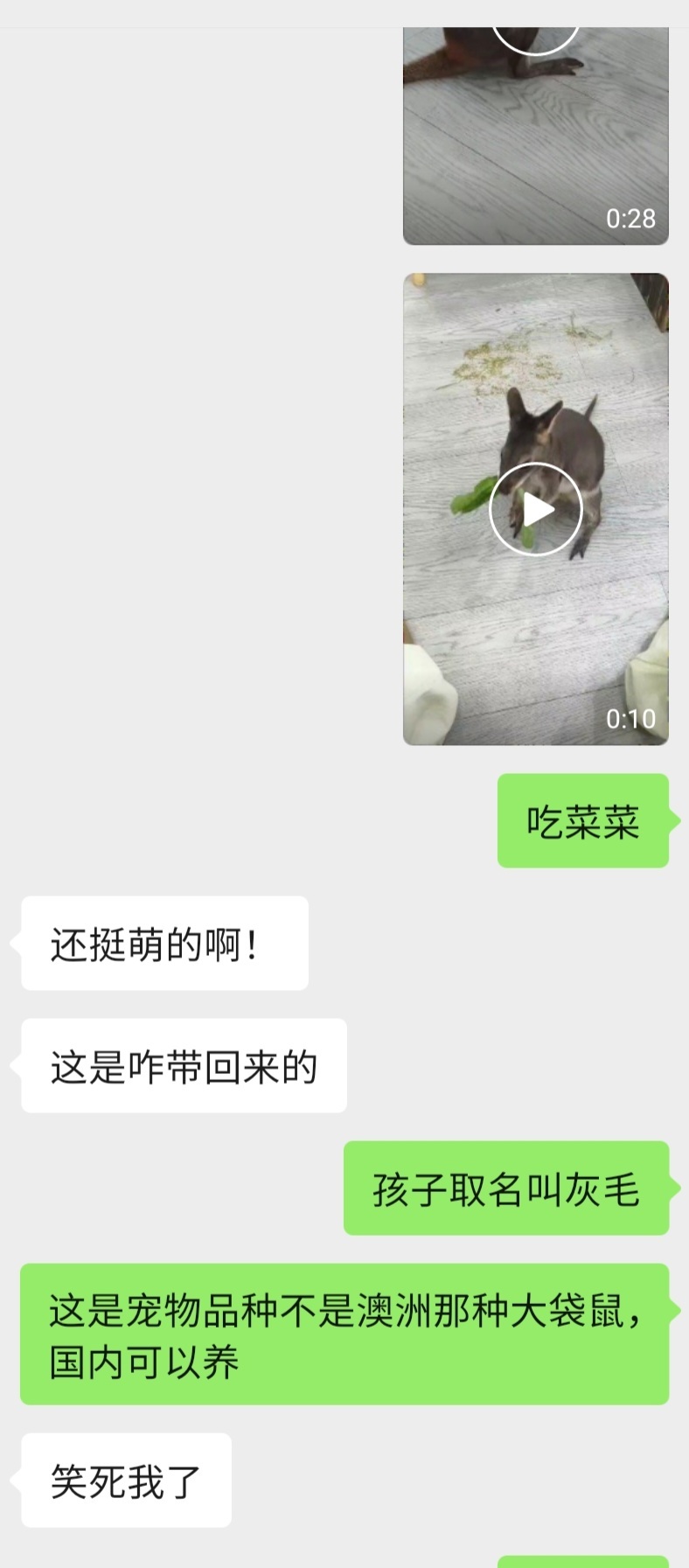 屏幕前的姨姨们给孩子起个名字 