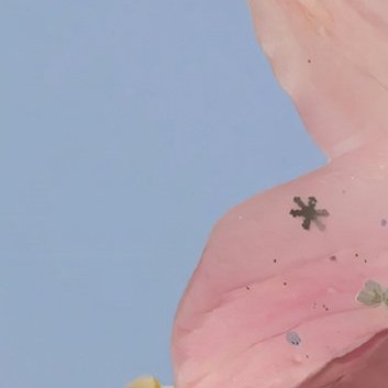 阳光信用‎阳光‎信用 ‎每日一善 喜欢追梦的人，切记不要被梦想主宰；善于谋划的人
