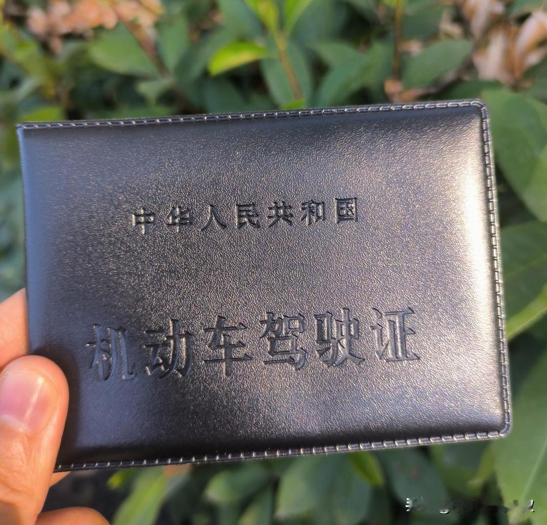 吾家小女初长成，四十天拿驾照。

都说养女方知世路长，转眼间我家小闺女悄悄长大了