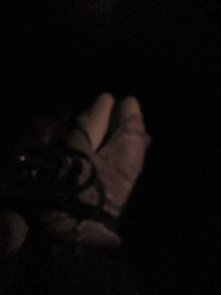 夏天要来了吗
