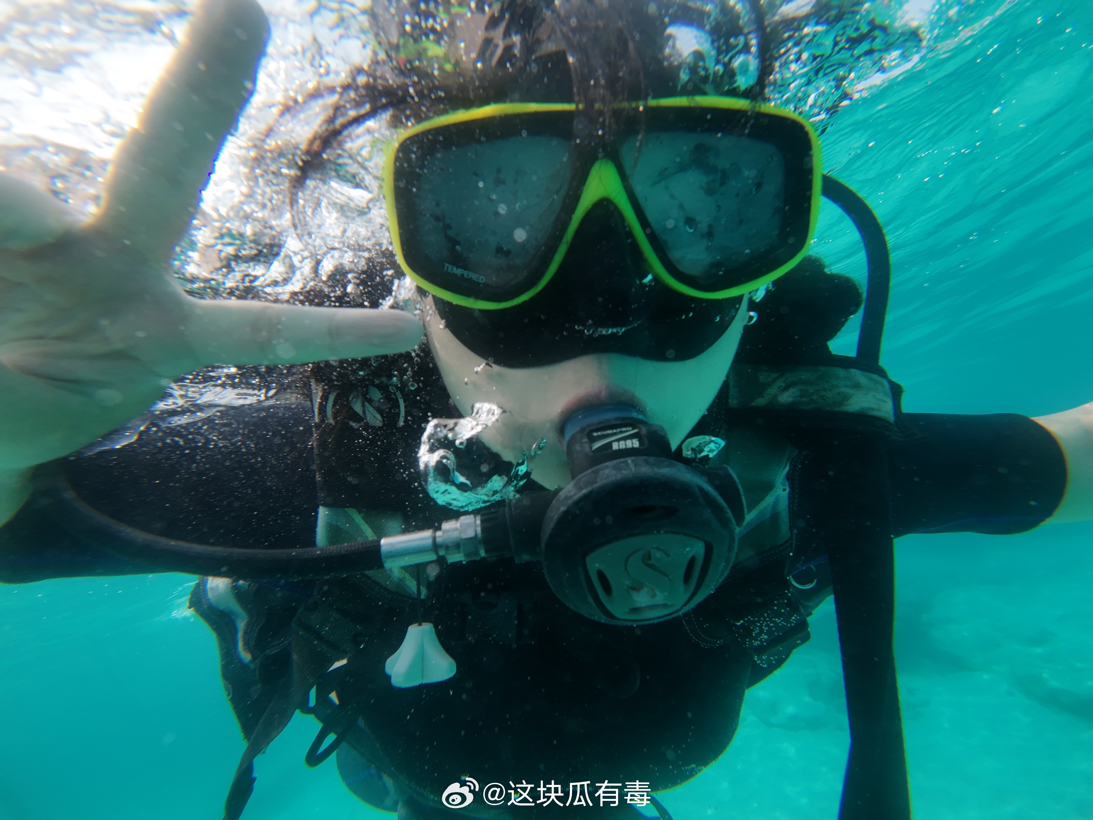 瓜的日常 在泰国拍到了人生潜水照片 ​​​