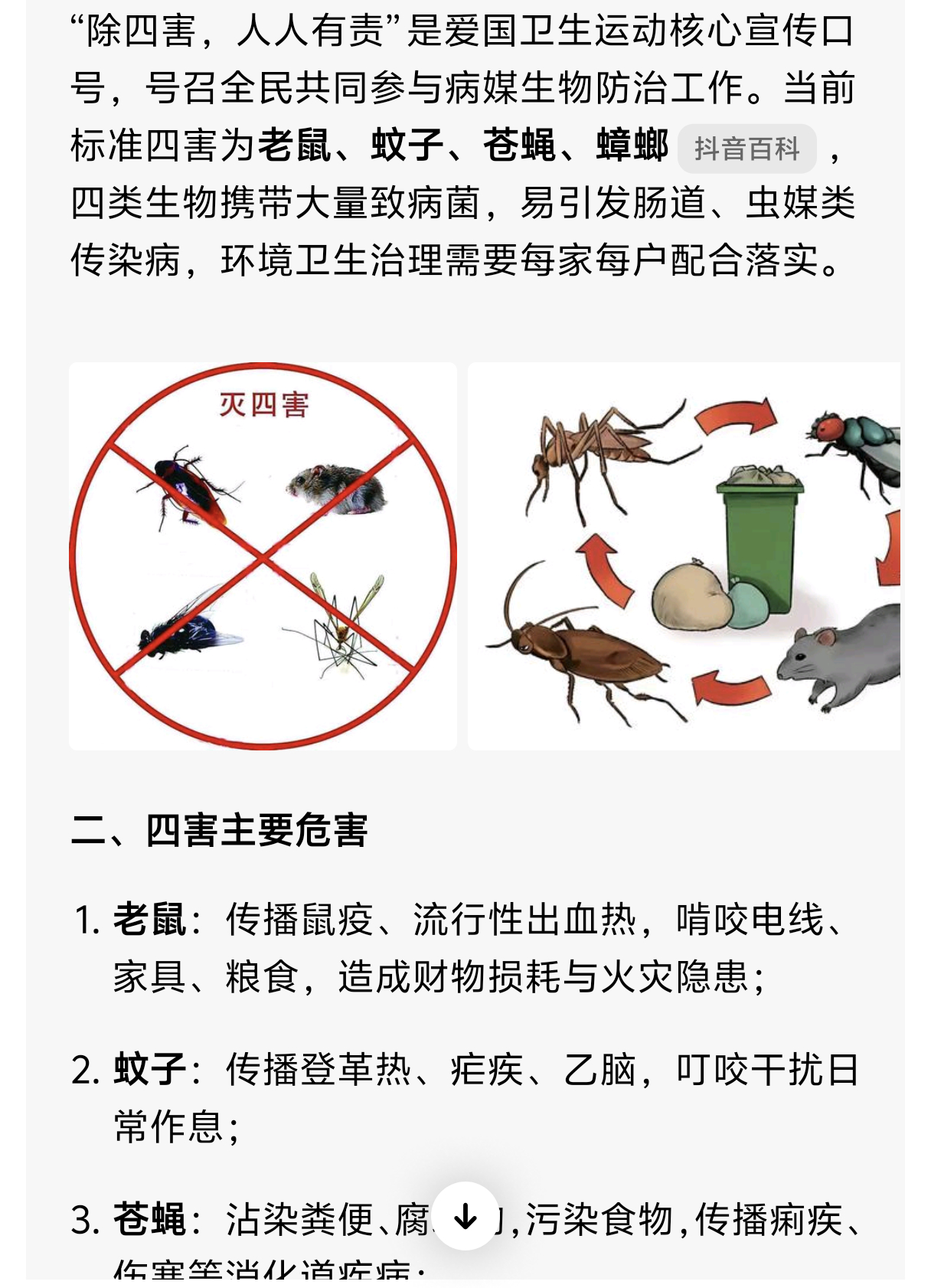 除四害人人有责 