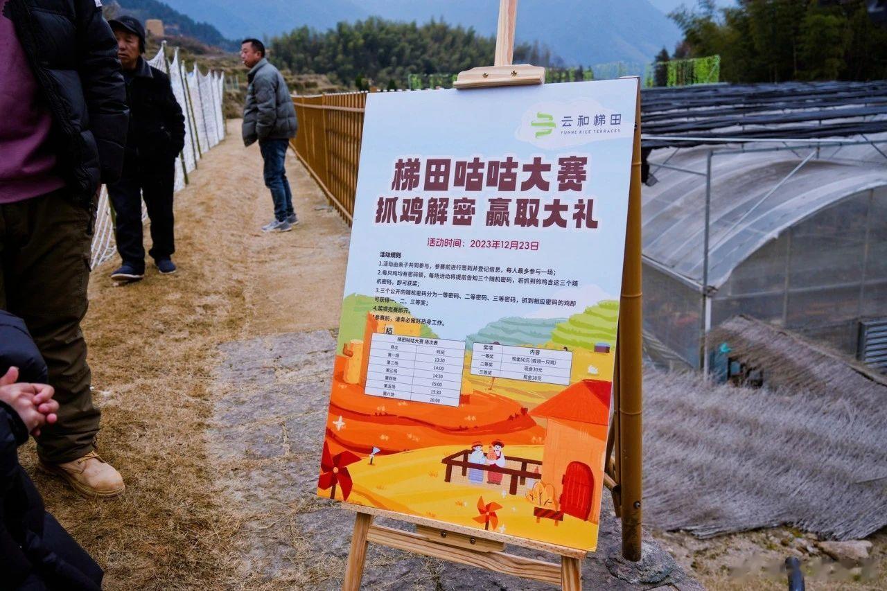 【溢出屏幕的快乐】云和梯田这场亲子活动，携手走进云和梯田，回归大自然探寻乡村野趣
