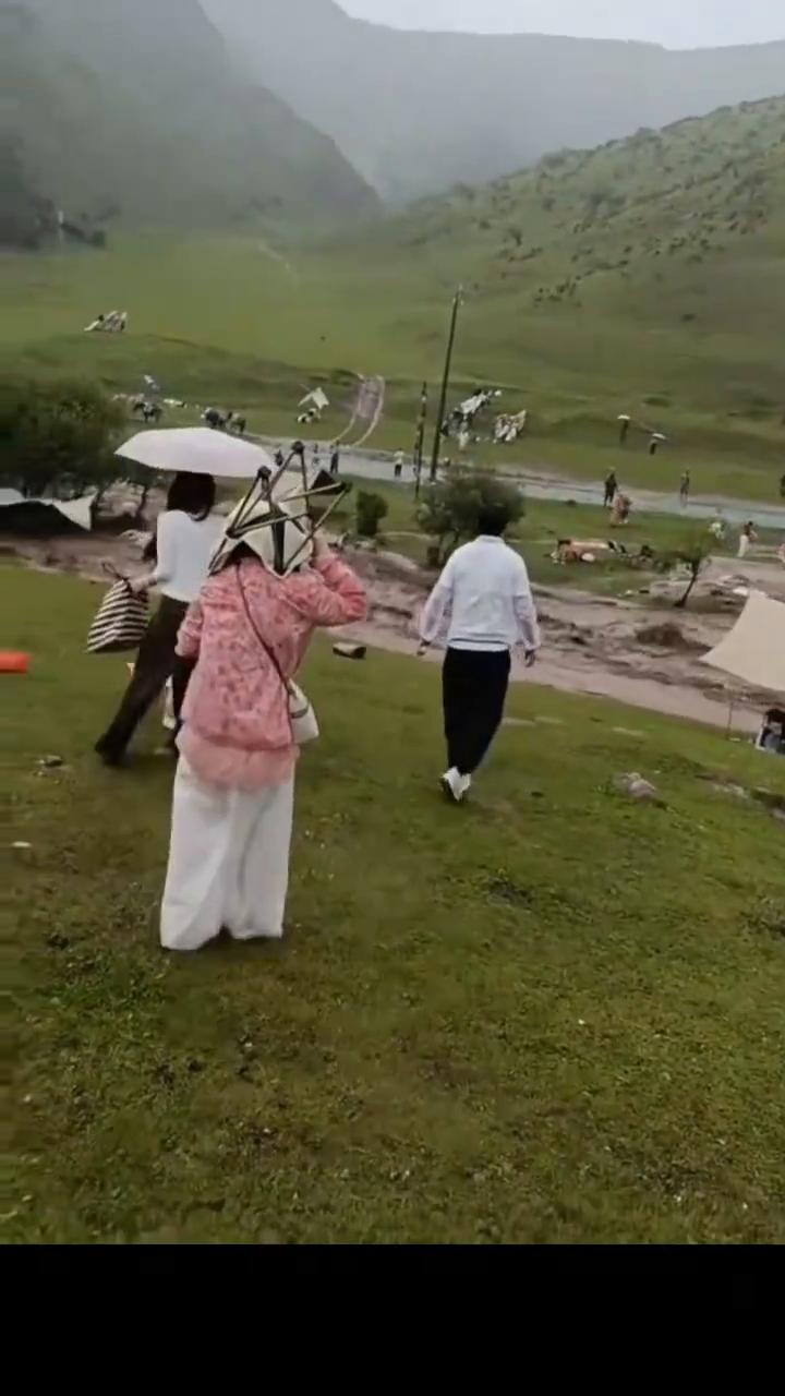 转发点赞关注。
