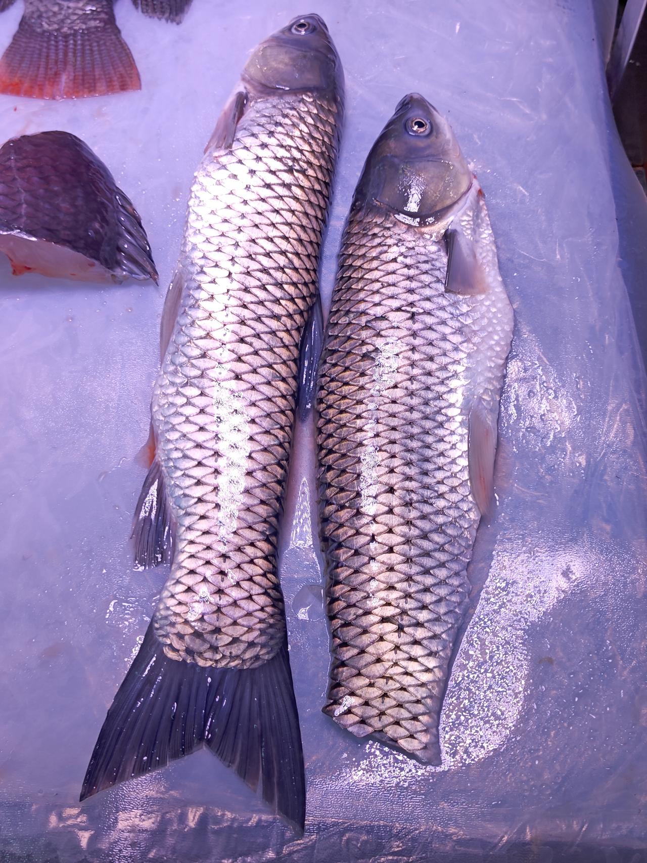 “山坑鲩鱼（草鱼），33一斤，养足两年，净系食草架”

如果是真的，我都想买来试
