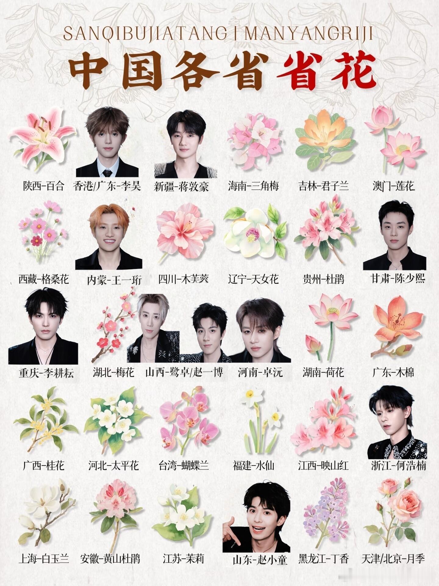 十个勤天中国各省省花十个勤天‖ 