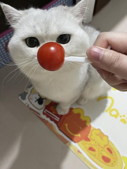🍅