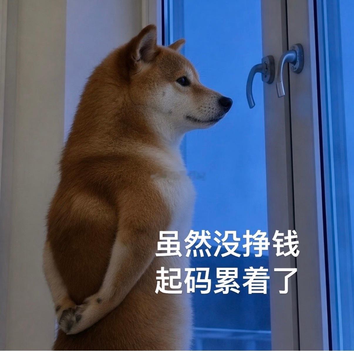 卷毛：“进去了没？”昊子：“？？？进去了啊，你啥意思。”卷毛：“哦哦。”家人们他