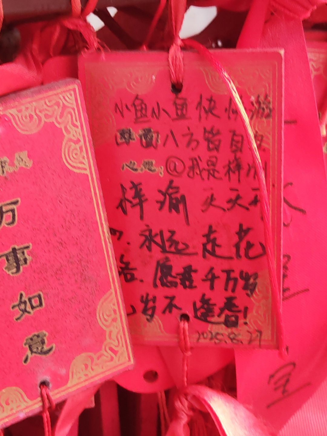 洛邑古城看到的 