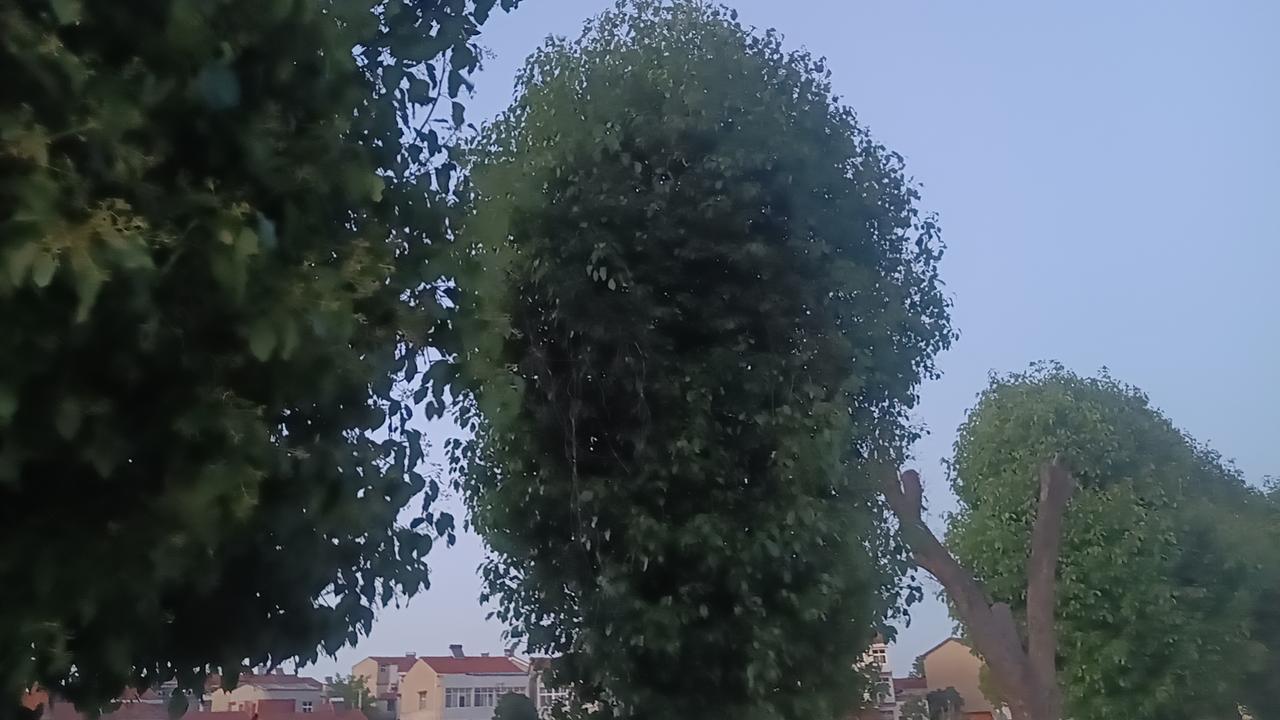 清晨起床后空腹喝一杯水（通常建议是温开水），被很多人称为“养生第一杯水”。这一简