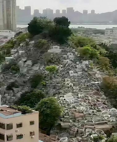 从有土葬开始中国死了几十亿人，耕地也没被塞满！占山头、卖墓穴是从火葬开始的。说白