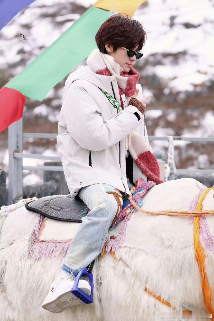 张真源跑男骑牦牛的路透引发关注，雪山背景下的场景很有氛围感，红发狼尾与牦牛、雪景