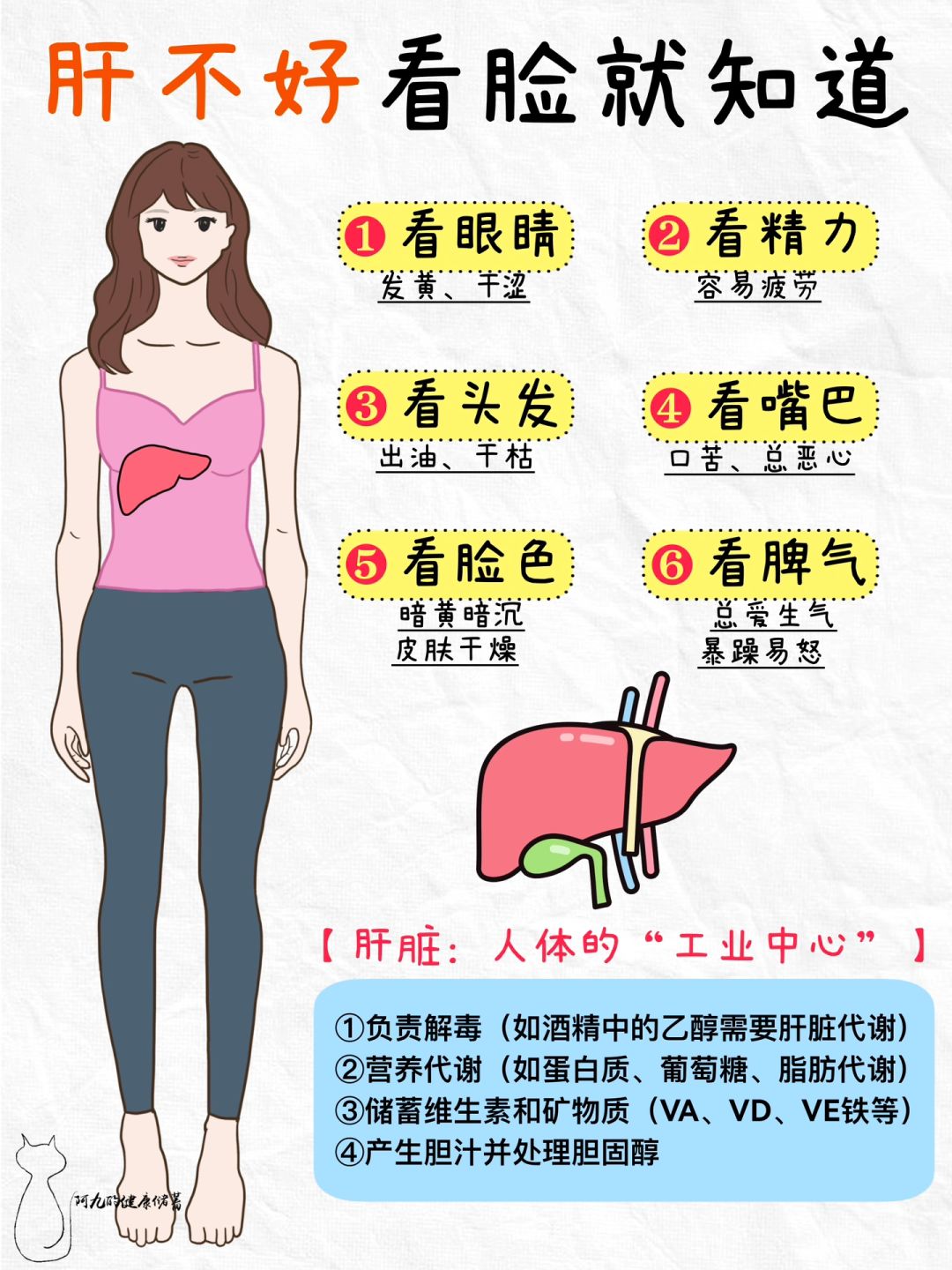 养生的尽头是内调！聪明的女人都在偷偷养肝