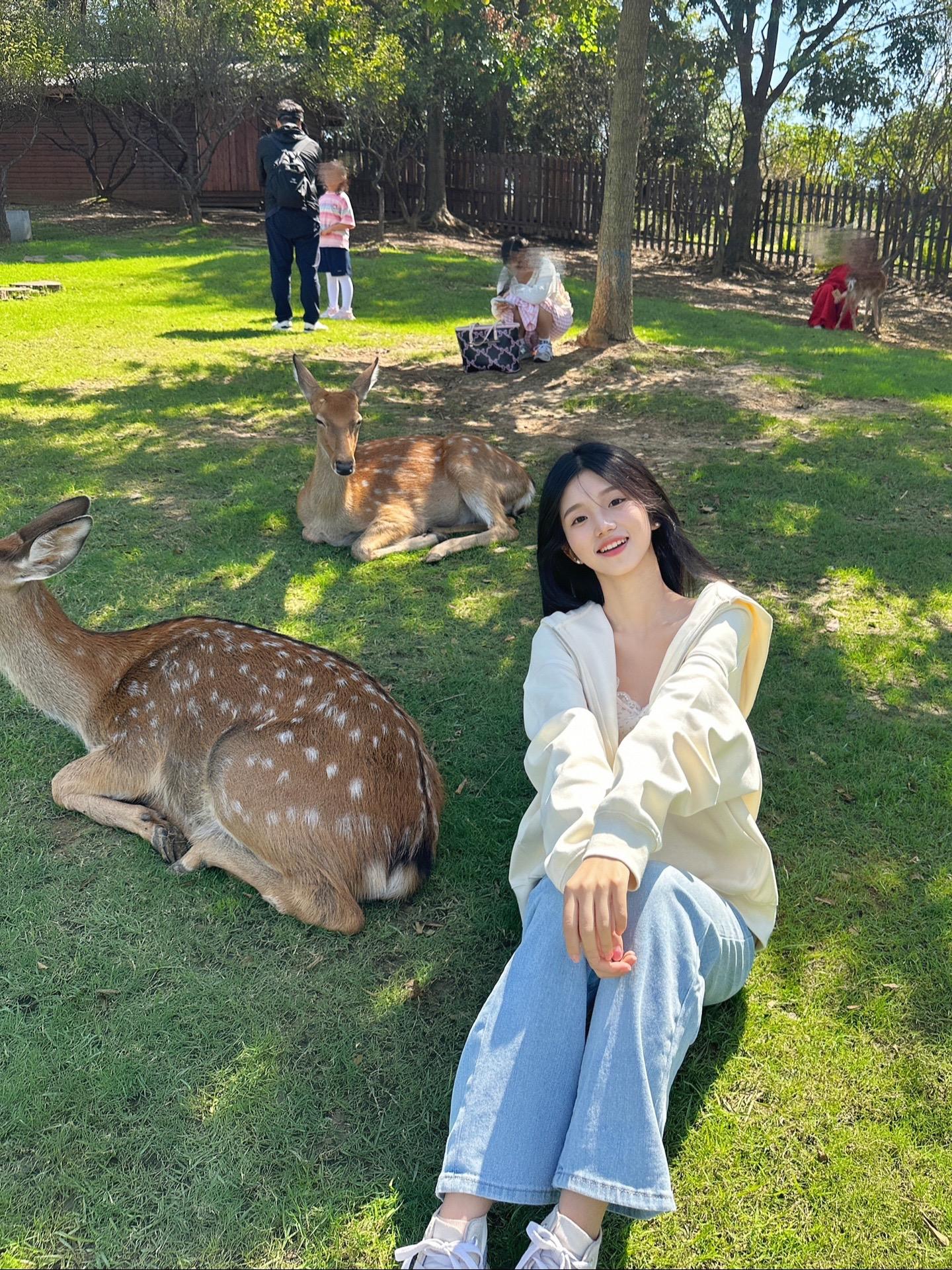 小鹿