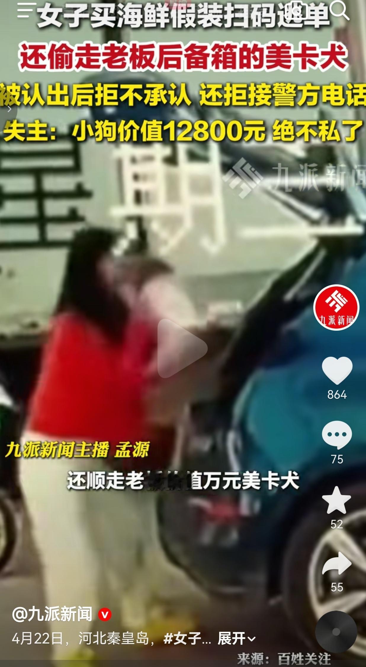 买海鲜逃单就算了，还顺手偷走老板价值一万多的小狗？这操作我是真开眼了
 
河北秦