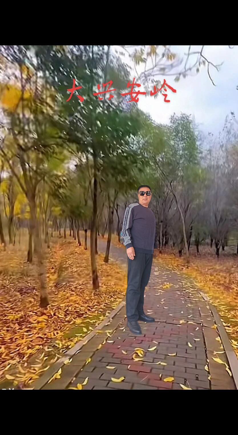 春风吹过，几度轮回。花开花落，落地成灰，……