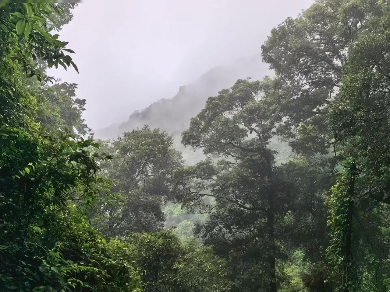 西蜀第一山青城山