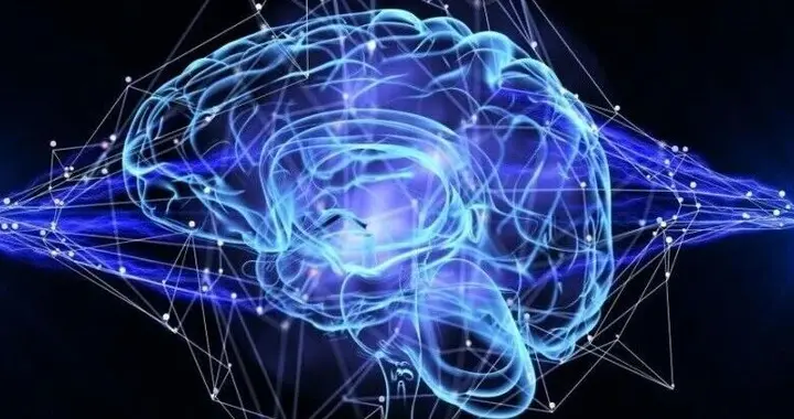 大模型长脑子了？研究发现LLM中层会自发模拟人脑进化