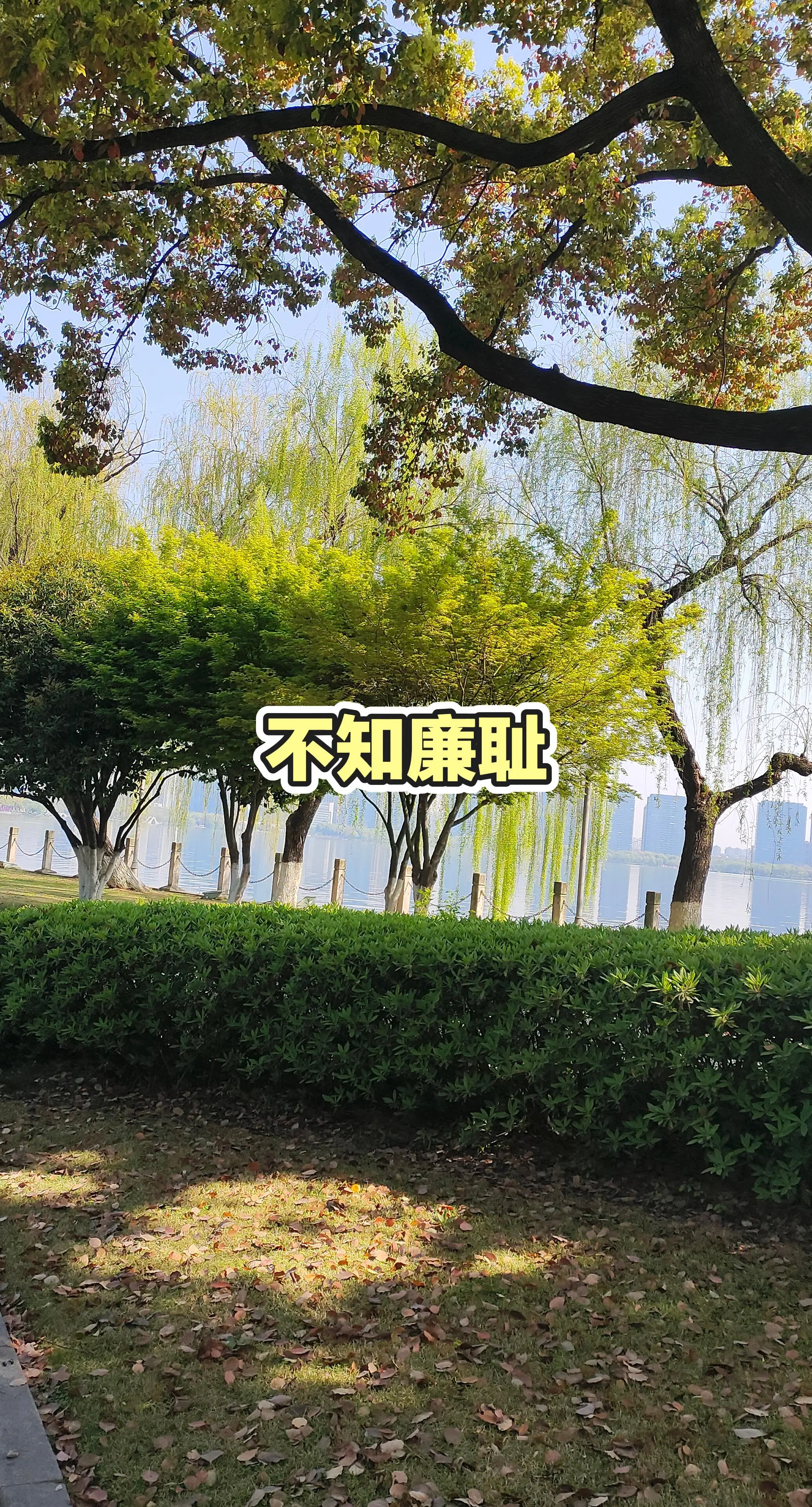 园林绿化