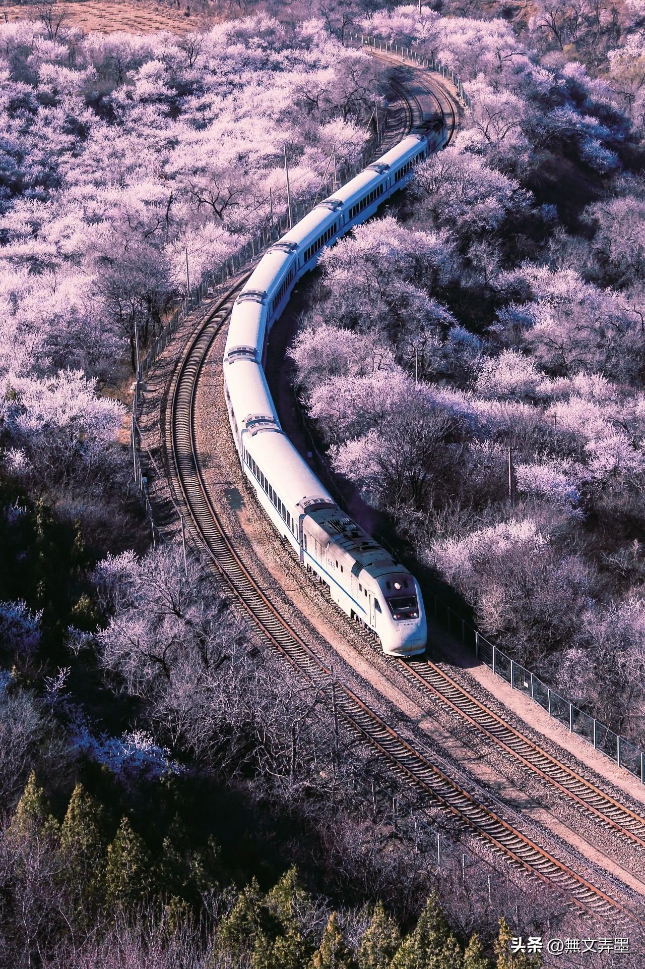 如果这都不算隐私，那什么才算？
重庆那位被举报的退休领导，法院判举报人道歉，单位