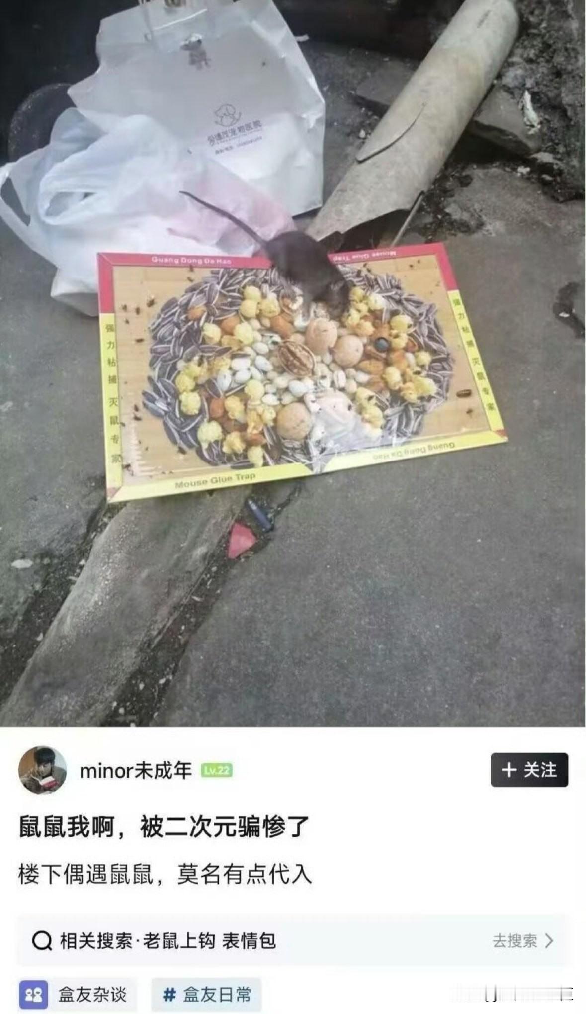 老鼠上钩