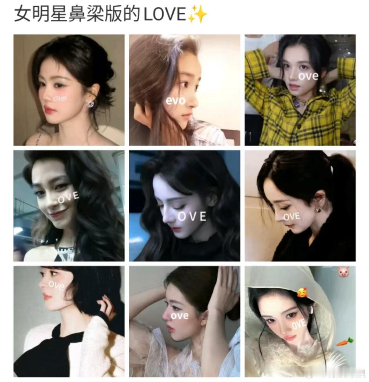 内娱名品鼻女明星love女明星鼻梁版LOVE女明星鼻梁love，好美，[鼓掌][