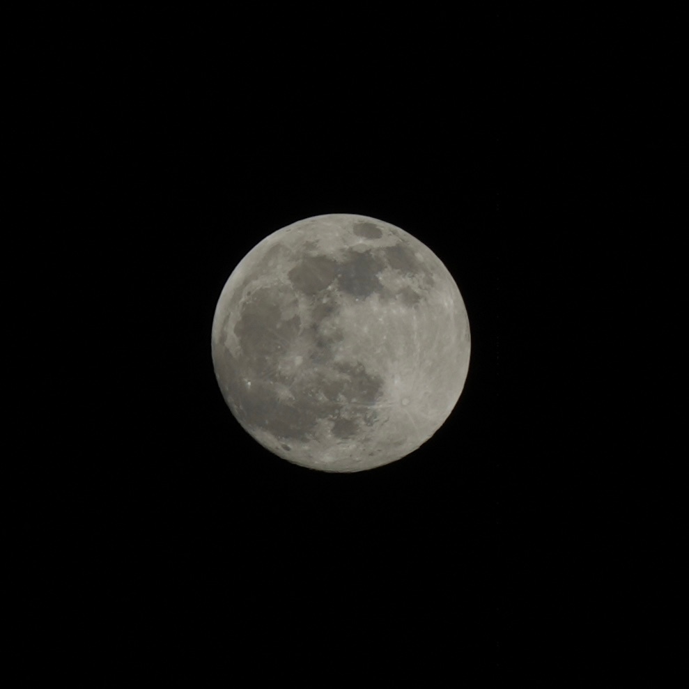 祝大家中秋快乐🌕中秋节  ​​​