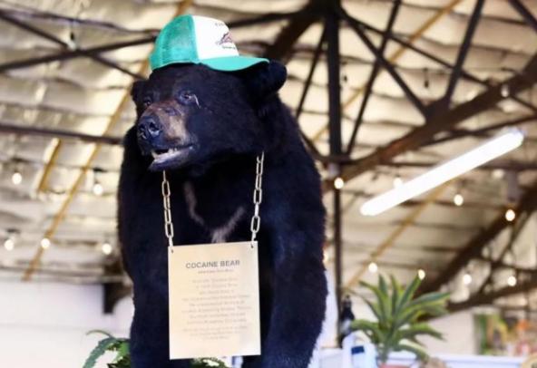 1985 年，毒贩桑顿的飞机出事了，1500 万美元的可卡因掉进了森林，然后，一