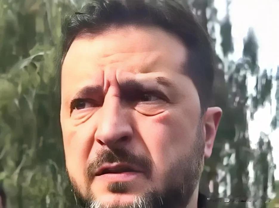 泽连斯基不是美西方的傀儡！
泽连斯基代表乌克兰向美西方寻求援助和支持，只是一种自