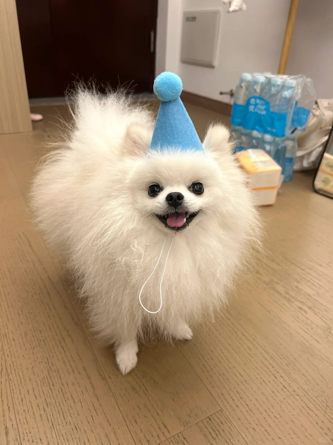 宝宝你是一个小丑🤡