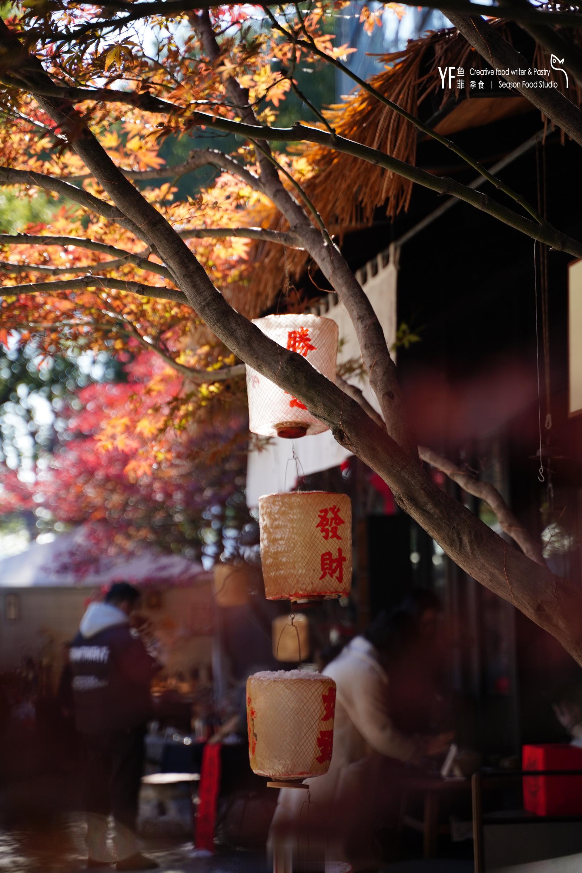 顶着零下6度的气温，和朋友一早高铁来逛逛。姑苏暮冬午后的茶韵古器，美得移不开眼，