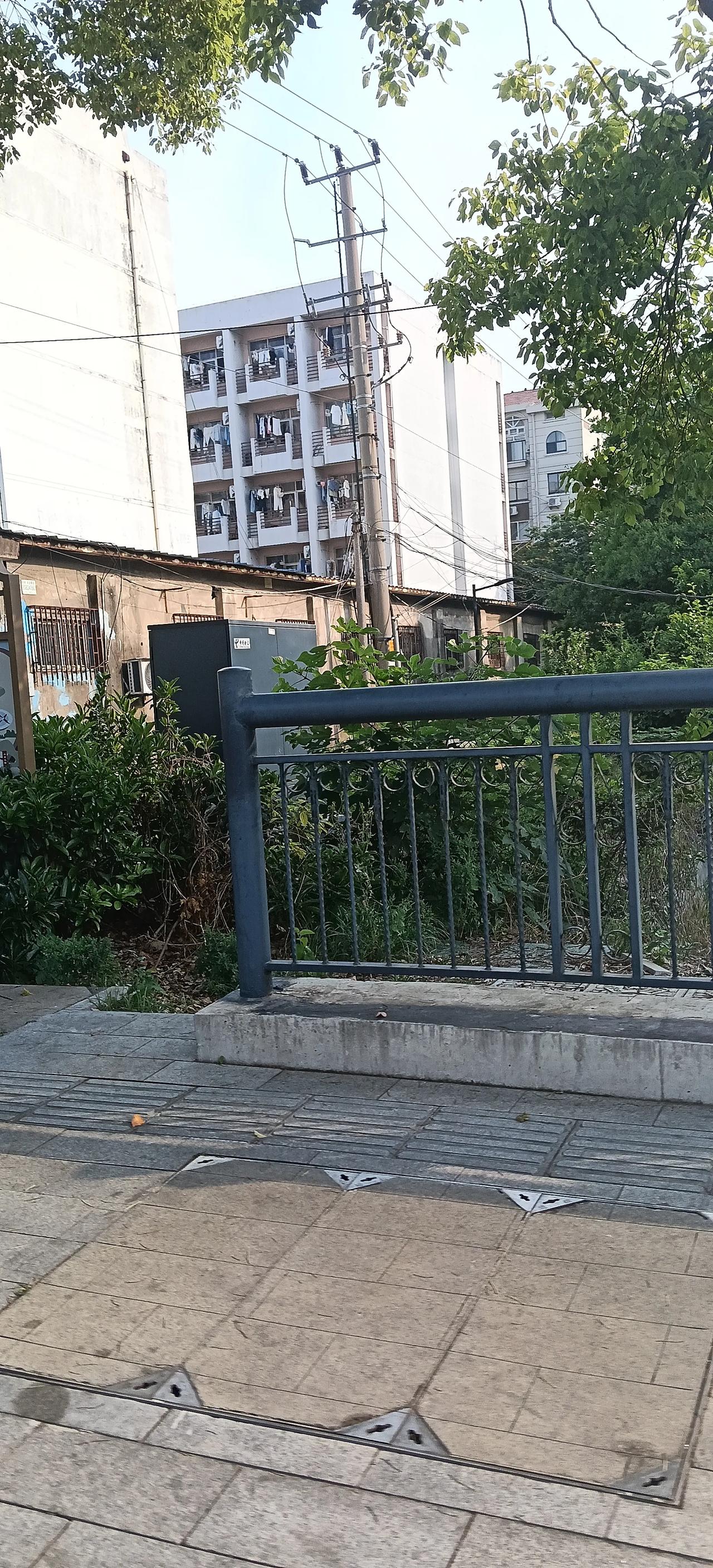 赤水大瀑布真的很值得一看！它是国内丹霞地貌里最大的瀑布，水流从悬崖倾泻而下，声势