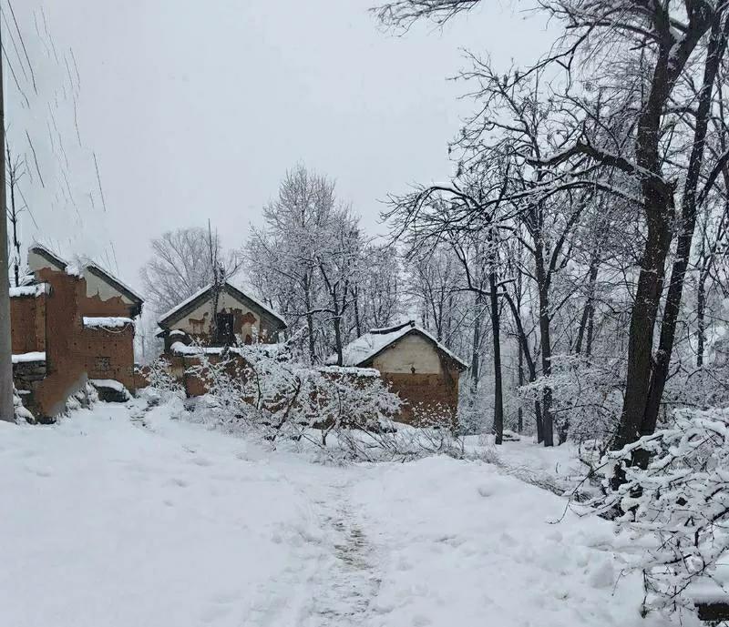 小时候每年冬天，都会下鹅毛大雪，纷纷扬扬下的昏天暗地

早上起来推开门，白茫茫一