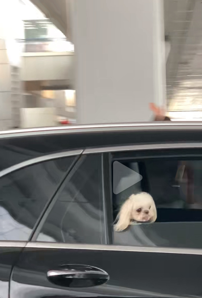 宁愿坐在岳父车里笑也不愿…… 