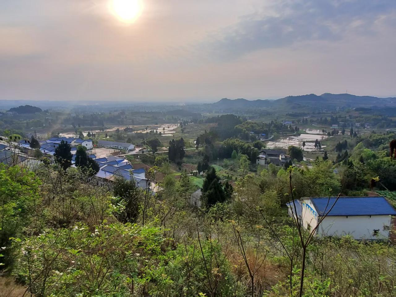 今年各省退休人员工资调整备受关注。2025年总体调整水平按2024年月人均养老金