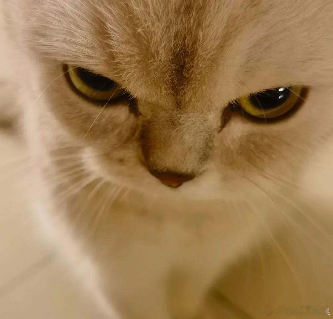 #沉浸式购物是冲动消费的解药吗# 它提供了一种全新的视角，让我们在享受购物乐趣的